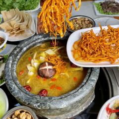 Tamura • Shipot Tibetan Chicken User Photo