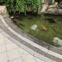評論圖片 2