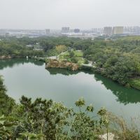 評論圖片 6
