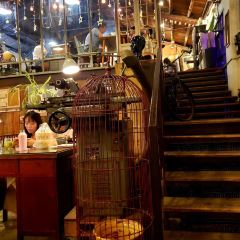 Showroom Cafe User Photo