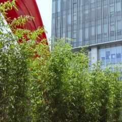 食一荟(徐汇滨江店) User Photo