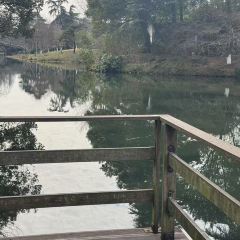 天泽楼茶书院 User Photo