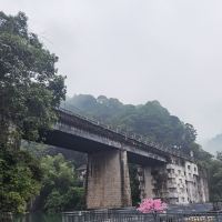 評論圖片 5