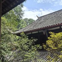 評論圖片 5