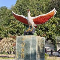 評論圖片 1