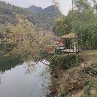 評論圖片 1