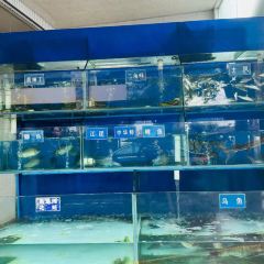 三星溪溪缘生态鱼府(天府杨梅小镇) User Photo