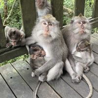 評論圖片 1