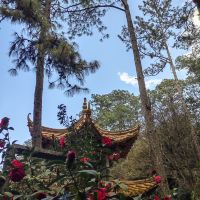 評論圖片 9