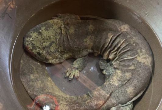 Yin xiang ni yan 여행 사진