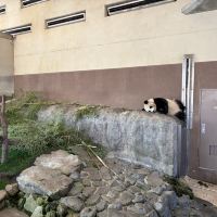 評論圖片 2