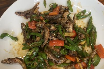 Mangshanchaihuonongzhuang