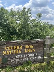 Celery Bog Nature Area