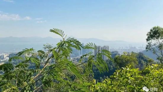 山腰处可以看到深圳与香港间的交界海，可以看到南山人才公园的地