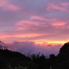 满氏家庭农庄 User Photo