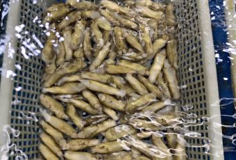 老太太海鮮城（森林公園任家台店）用戶圖片