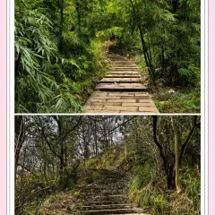 关口黄鲢鱼 User Photo