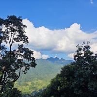 評論圖片 6