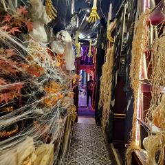 Little Kook User Photo