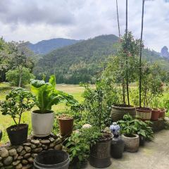 小园土菜(神仙居店) User Photo