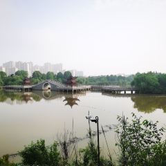 吉安庐陵东方宾馆·餐厅 User Photo