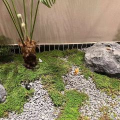 上海面馆(建设南路店) User Photo