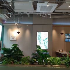 Harmony香麦粒 User Photo