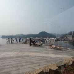 MonSon萌狮咖啡 User Photo