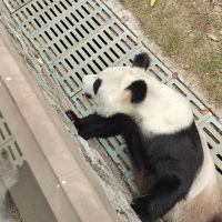 評論圖片 4