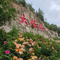 評論圖片 6