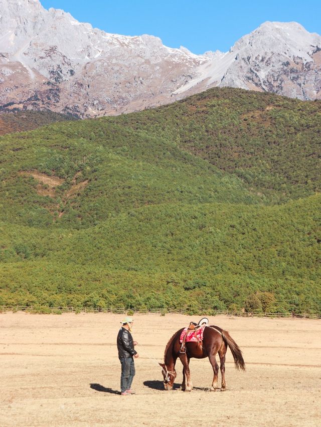 Grasslands near Lijiang, Yunnan🌿🍃