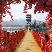 一個好吃好玩，花好山水綠的網紅城市-湖南省