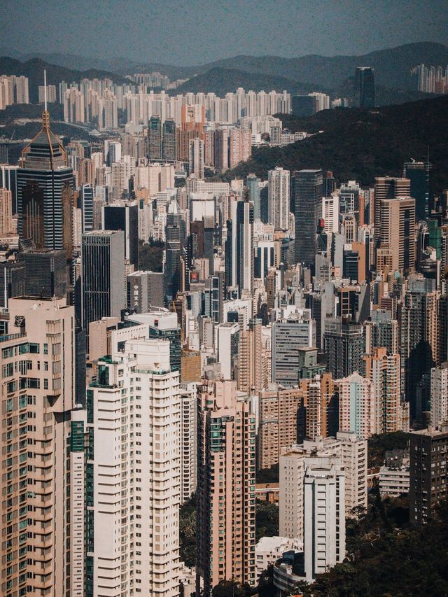 Hong Kong from ABOVE😍 BEST city view! 