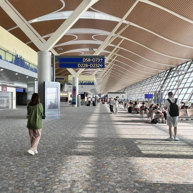 PVG T2