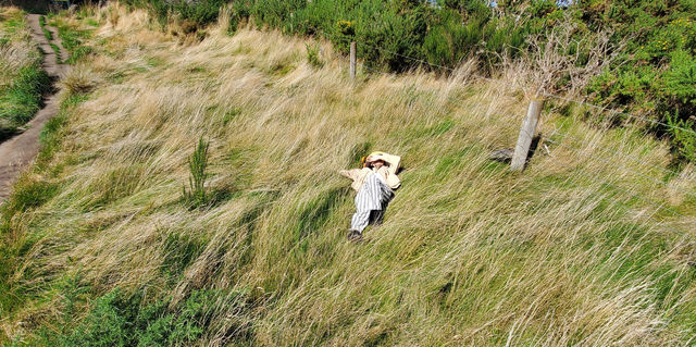 Rakaia Gorge day trip