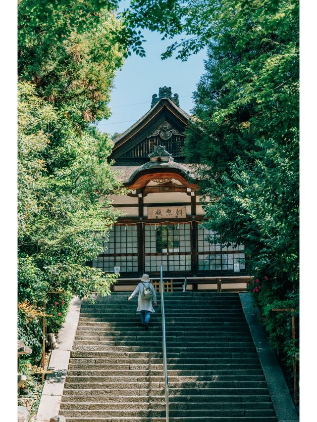 Not just matcha! Experience the blooming early summer in Uji.