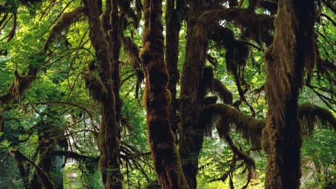 Appreciating Mother Earth — traveler post in Three Rivers