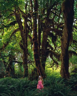 Appreciating Mother Earth