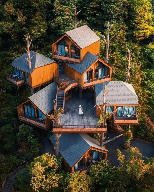 Life-size jungle treehouses that we love
