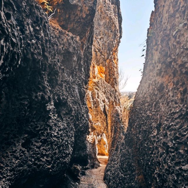 The Stone Forest | Kunming 