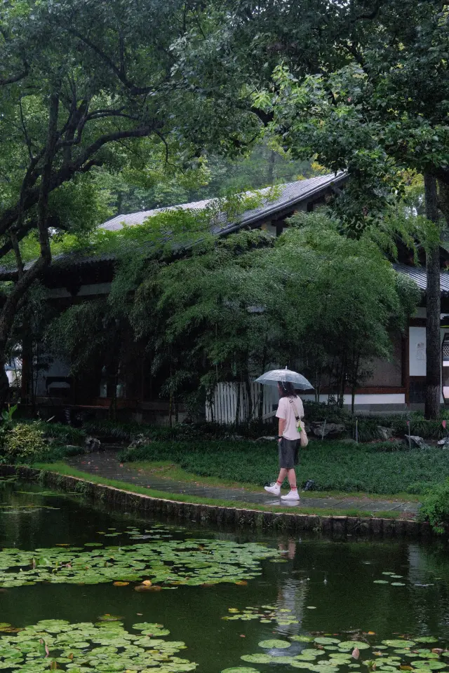 在杭州下雨天一定要逛這兩個免費公園！