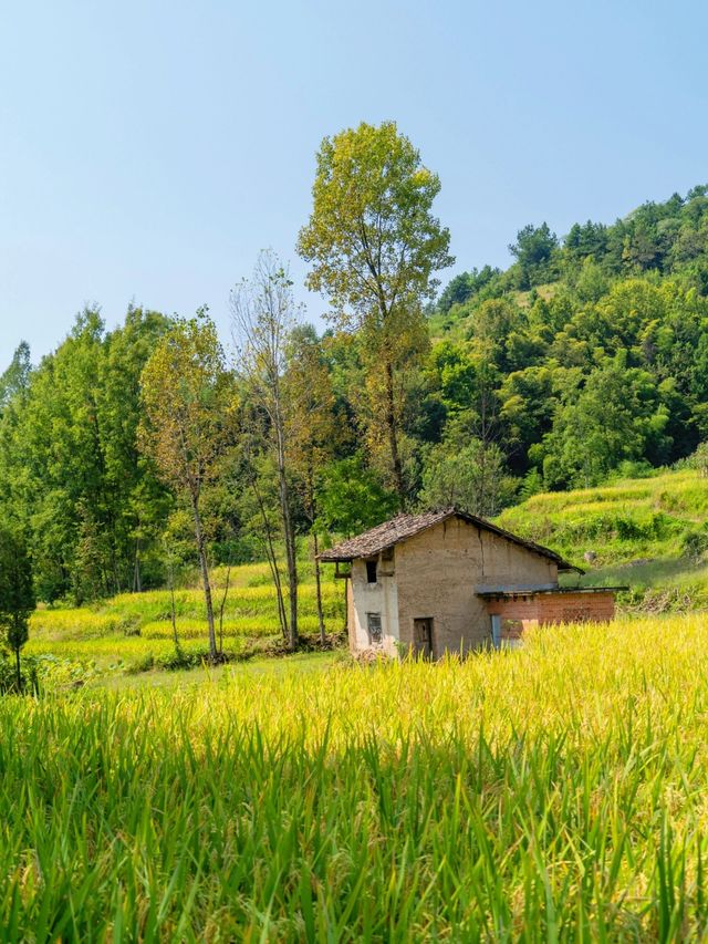 西安周邊小眾旅行地美哭了