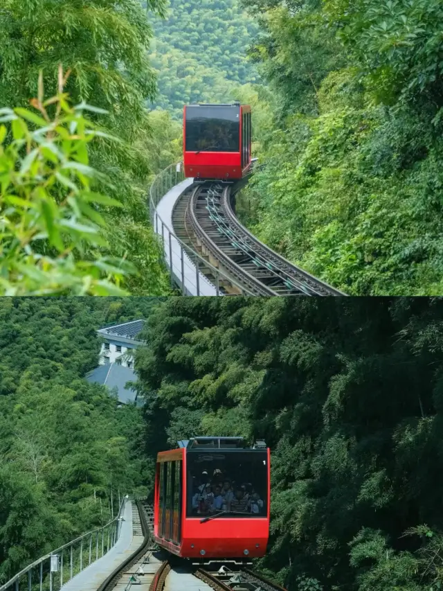 The National Day and Mid-Autumn Festival holiday is so long! Take two days to experience the small train and natural oxygen bar in the bamboo sea