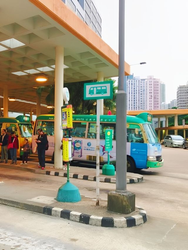 在香港登上諾亞方舟~