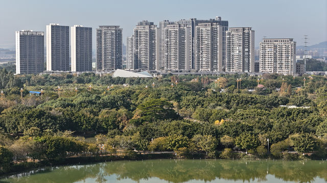 華陽湖水上森林公園