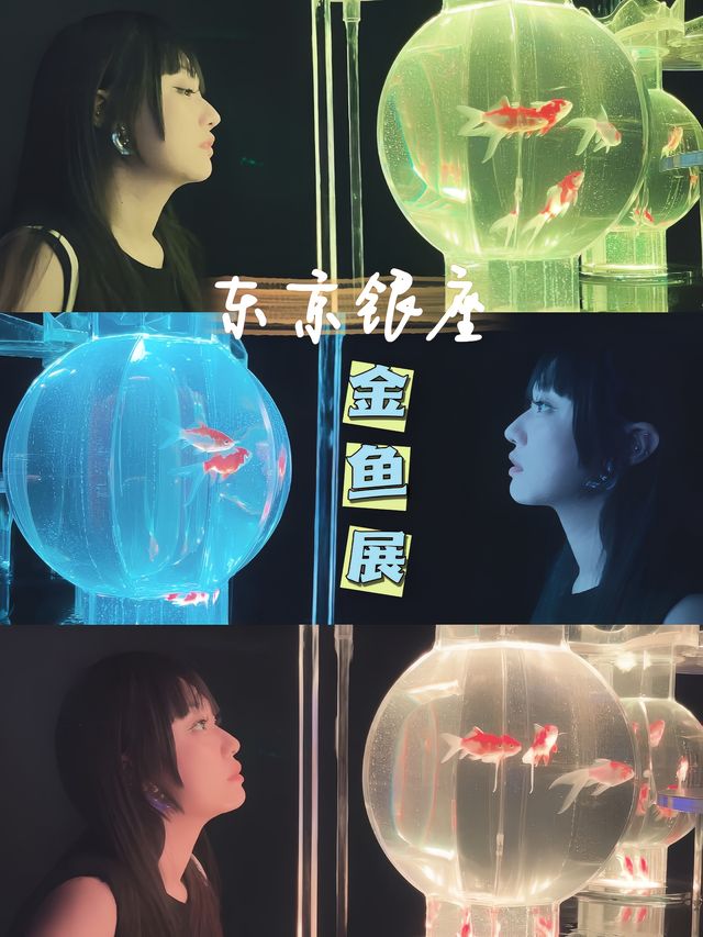 東京不可錯過銀座金魚展！市區最夯出片景點