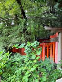 逛京都，怎麼能不去伏見稻荷神社呢？