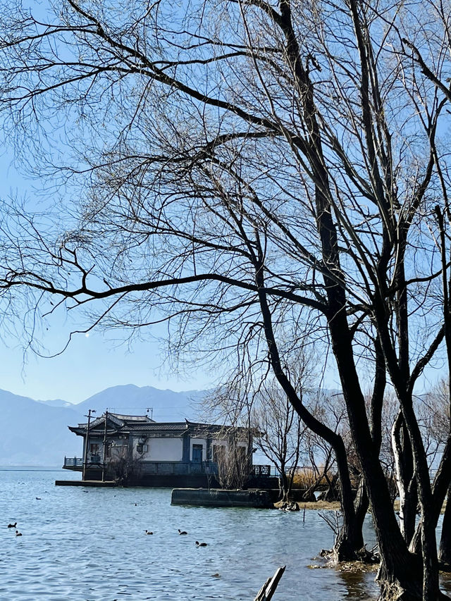 大理親子游，放空的6天5晚！