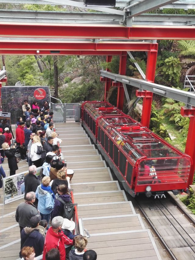 澳大利亞：藍山國家公園