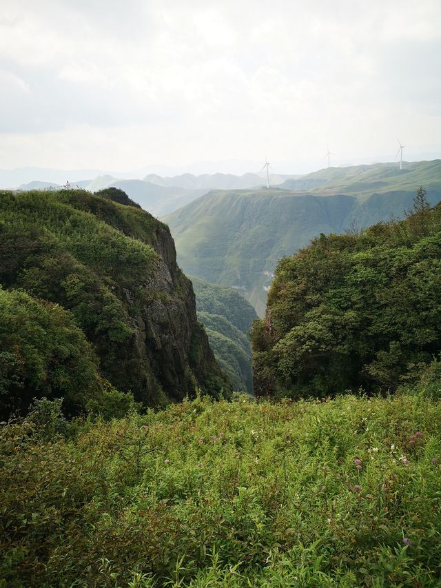 阿西里西